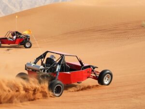 Buggy Ride In Red Dune