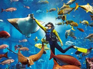 Lost Chamber + Transfer