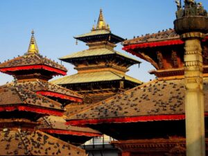 Nepal (Kathmandu / Pokhara / Chitwan)